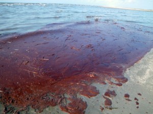 bp-oil-spill-elmers-island-550x412